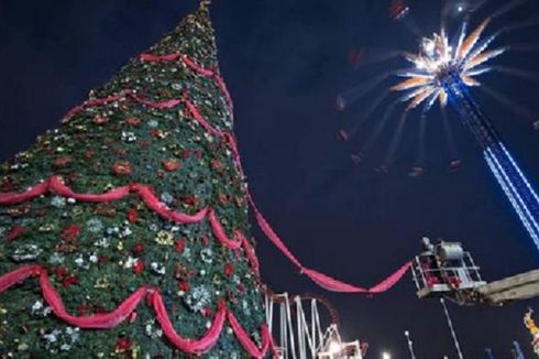 Antara Pohon Natal Asli dan Plastik, Mana yang Lebih Baik?