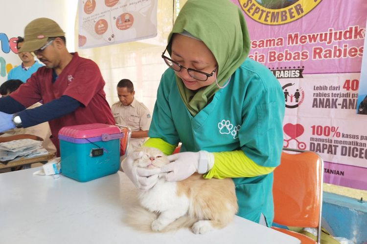 Dokter hewan saat memberi vaksin rabies kepada seekor kucing di RPTRA Anggrek, Cempaka Putih Timur, Jakarta Pusat, Senin (14/8/2023). (KOMPAS.com/XENA OLIVIA)
