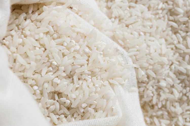 ilustrasi beras