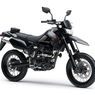 Kawasaki D-Tracker X, Asik Buat Susur Kota