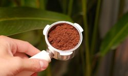 Jangan Langsung Buang Ampas Kopi, Bisa Disulap Jadi Kompos