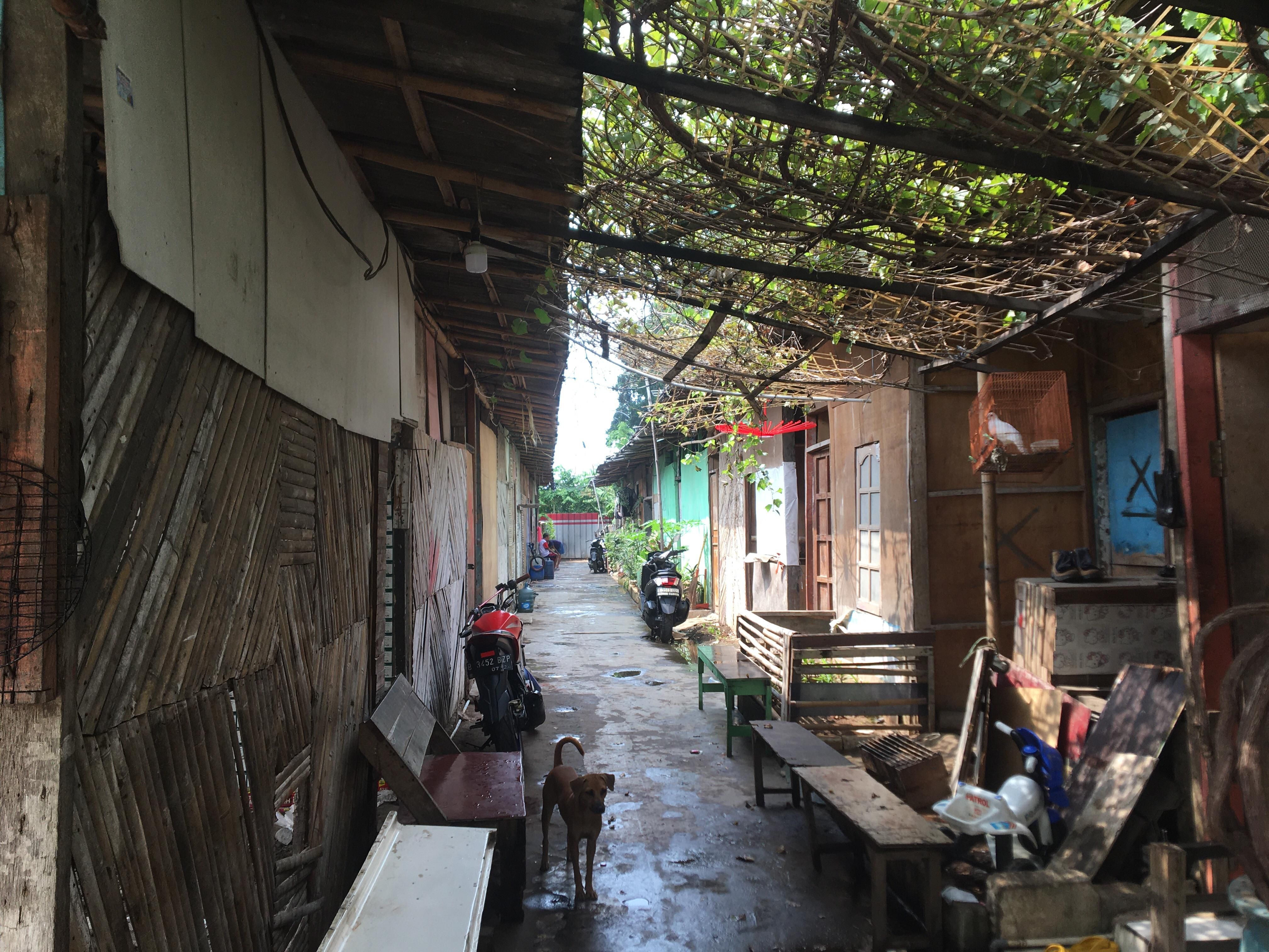 Melihat Kondisi Hunian Sementara Warga Eks Kampung Bayam yang Disoroti Anies