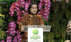 Sri Mulyani Serukan Sinyaling Harga Karbon Internasional