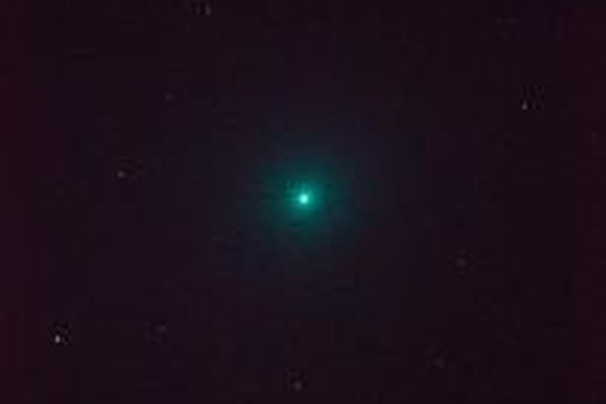 Penampakan komet c/2014 Q2 alias Lovejoy saat melintas di langit Yogyakarta, dipotret oleh tim Penjelajah Langit dan Taman Pintar Astro Club pada Minggu (11/1/2015). 