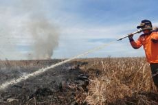 Karhutla di Rokan Hilir Riau, Sudah Lima Hari Api Belum Padam