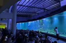 Aquarium Indonesia Pangandaran: Tarif Masuk dan Jam Buka Saat Lebaran 2023