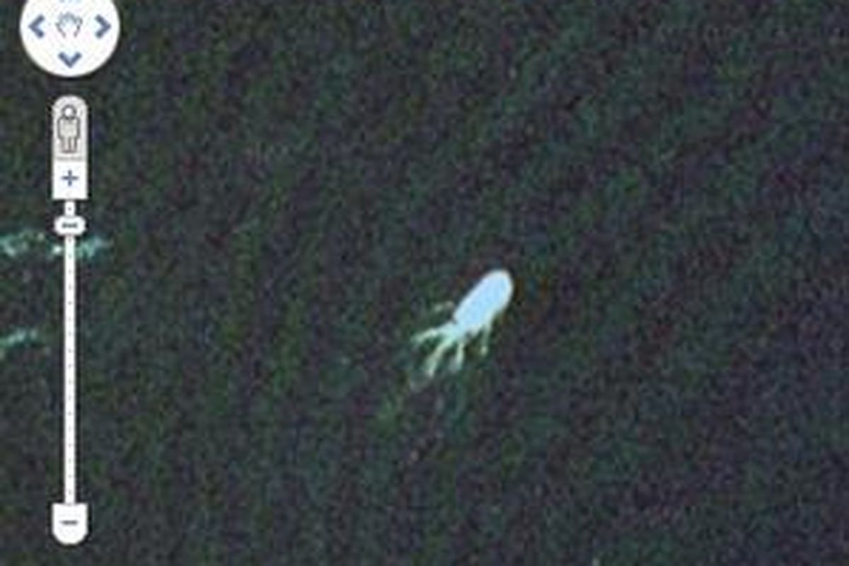 Gambar rekaman Google Earth yang diduga sosok Nessie, monster danau Loch Ness di Skotlandia.