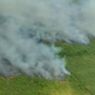 Kebakaran Hutan dan Lahan di Riau Kian Parah, Asap Terus Menyebar