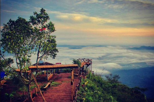 Wisata di Gunung Kelir, Jelajah Hutan Pinus hingga Cari Spot Selfie