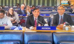 Di Tingkat Dunia, Kementan Ungkap Cara Pemenuhan Ketahanan Pangan 