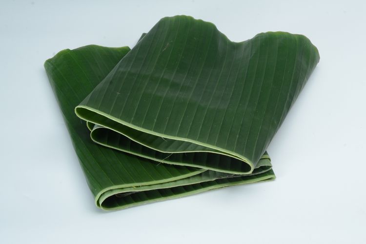 Ilustrasi daun pisang segar.