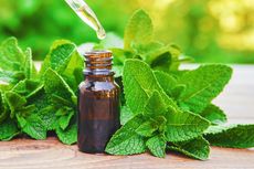 4 Jenis Daun Mint dan Bedanya, Bukan Cuma Peppermint