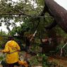 Hujan dan Angin Kencang Terjang Makassar dan Gowa, Pohon Tumbang dan Pengunjung Terjebak di Lift