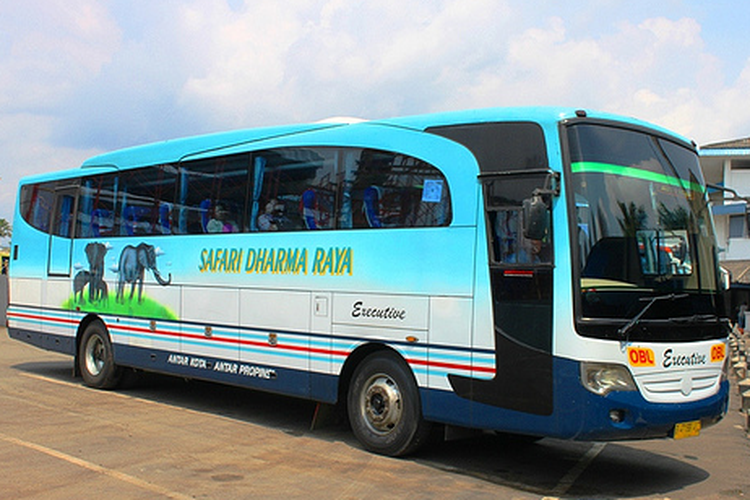 Bus AKAP Safari Dharma Raya