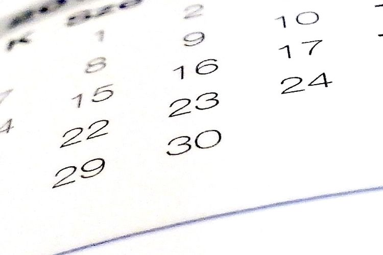 Benarkah WFH Jumat Bikin ASN Lebih Produktif? Psikolog Ingatkan Bahaya Parkinson’s Law