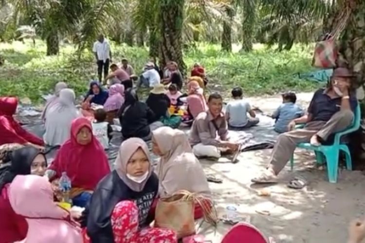 Para petani sawit saat berada di lahan sawit mereka usai diserang sekelompok orang di Desa Terantang, Kecamatan Tambang, Kabupaten Kampar, Riau, Selasa (21/6/2022).