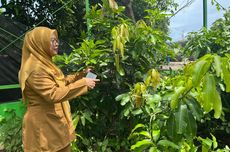 Pengeboran Sumur di Aceh Tamiang Dimulai, Tersebar di 24 Titik