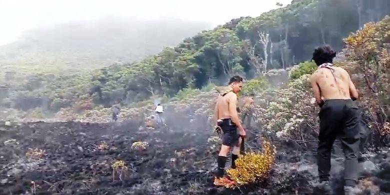 Berita Harian Jalur Pendakian Ilegal Gunung Gede Pangrango Terbaru Hari Ini 