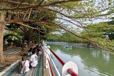 Taman Cimanuk di Indramayu: Daya Tarik, Aktivitas, dan Rute