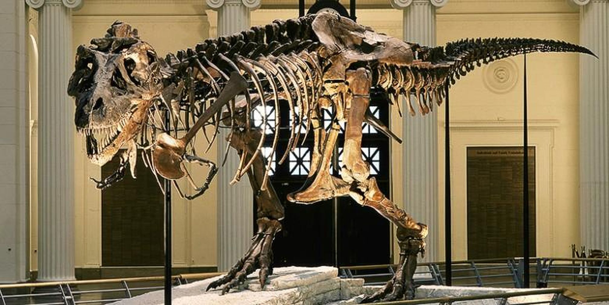 5 Museum Dinosaurus Terbaik Di Dunia Halaman All Kompascom