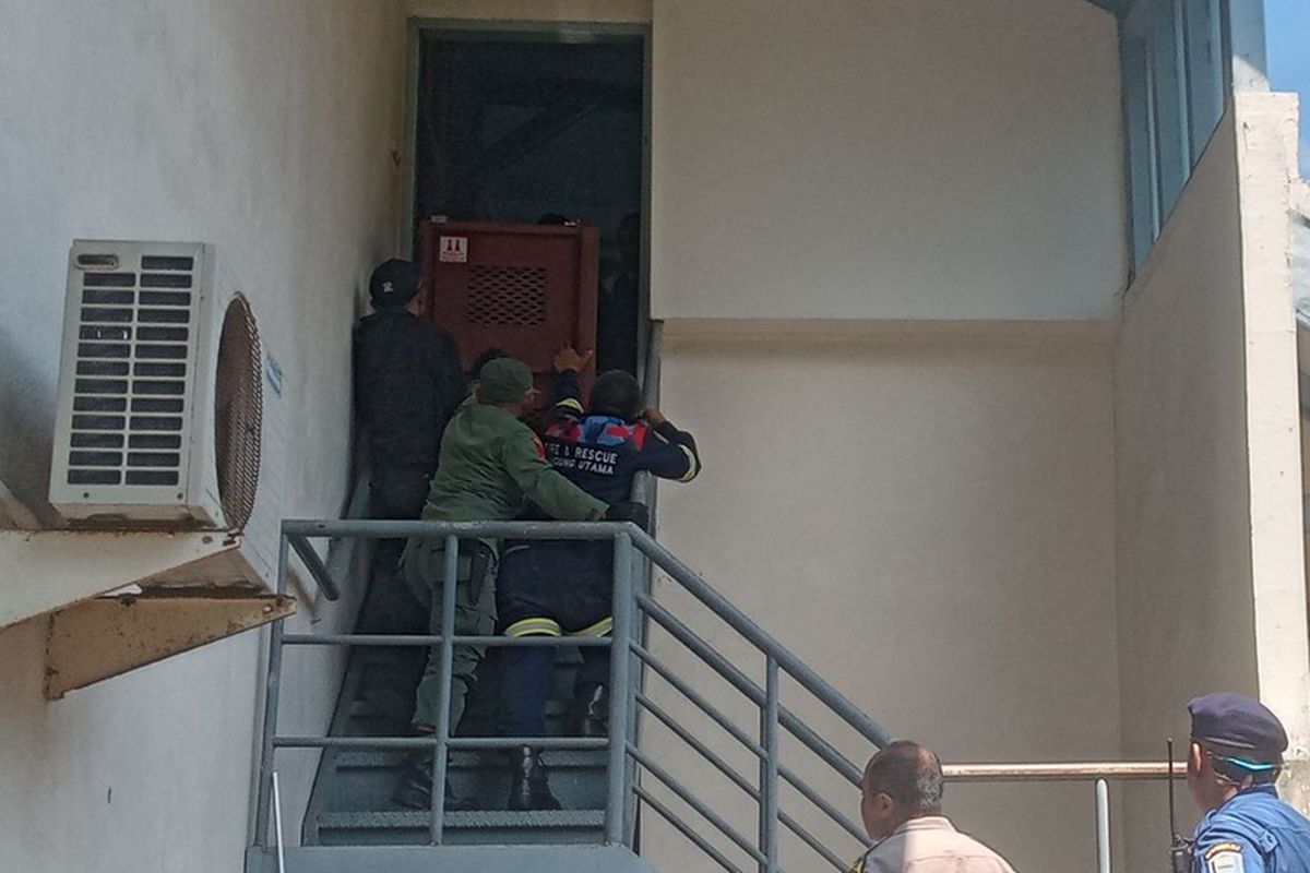 Seekor macan masuk ke dalam Hotel Anugerah di Bandung, Jawa Barat, Senin (6/10/2025). 