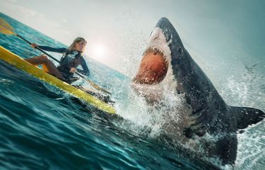 Poster film The Reef: Stalked