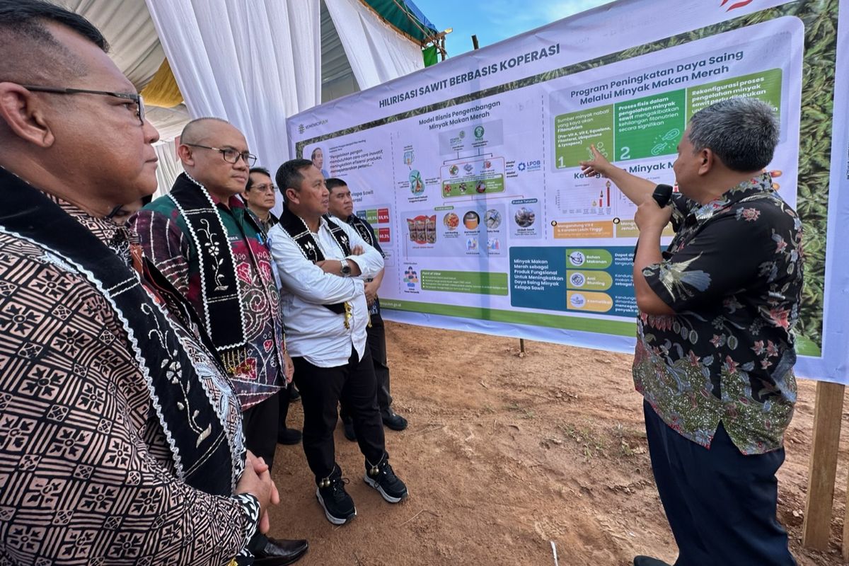 Kementerian Koperasi dan UKM (KemenKopUKM) kembali melakukan ground breaking (peletakan batu pertama) pembangunan pabrik minyak makan merah di Kabupaten Sanggau dan Kabupaten Sekadau, Kalimantan Barat (Kalbar) untuk mendorong peningkatan kesejahteraan petani sawit pada Jumat (4/10/2024).