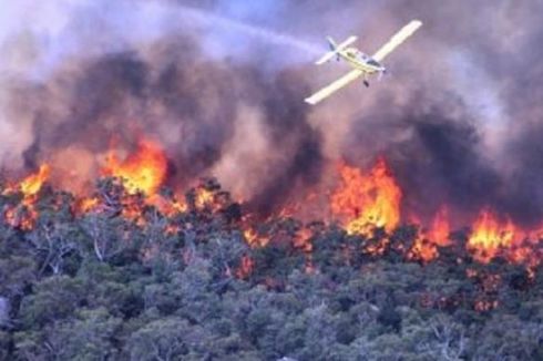 Hutan Ilalang Seluas Setengah Hektar Terbakar di Pulau Tidung