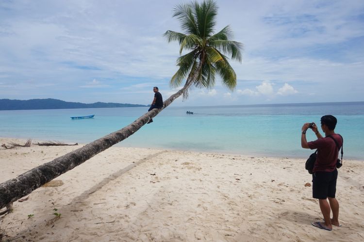 Pohon kelapa yang condong ke laut menjadi salah satu spot foto di Pantai Wambar Fakfak Papua Barat
