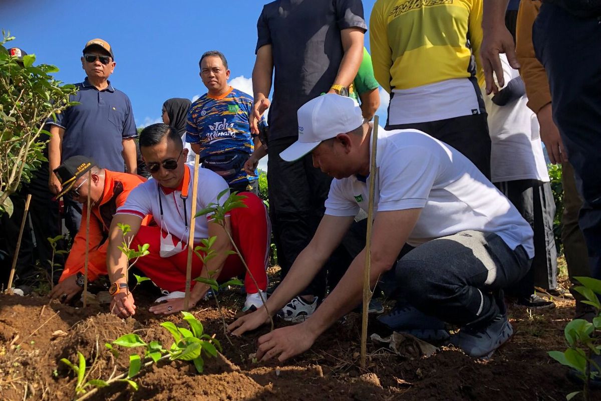 ID Food  Ajak UMKM dan Petani Angkat Teh Indonesia