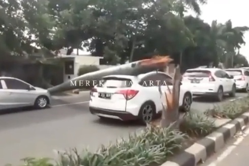 Estimasi Perbaikan Honda HR-V yang Tertimpa Pohon, Tembus Rp 10 Juta Lebih