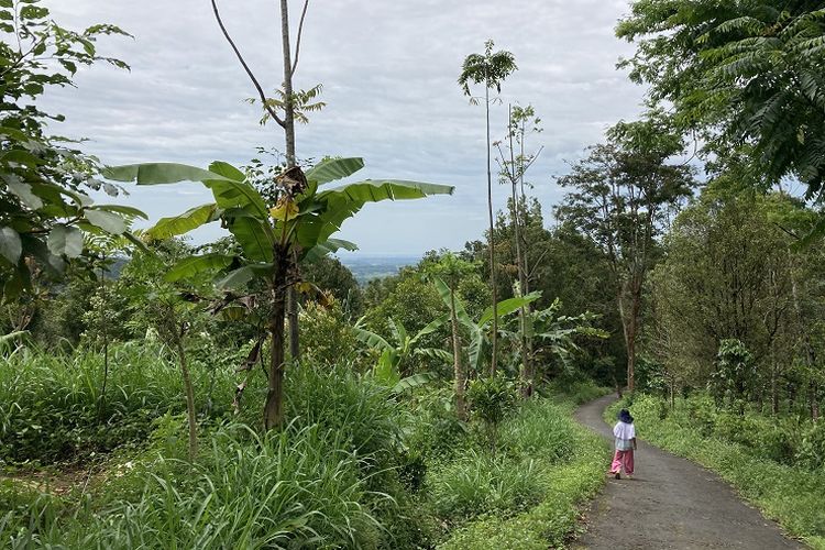 Pemandangan asri yang akan menemani wisatawan saat trekking menuju Pos Cibunar di kaki Gunung Ciremai, Desa Linggarjati, Kecamatan Cilimus, Kabupaten Kuningan, Jawa Barat, Sabtu (3/4/2021).