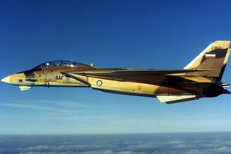 jet tempur F-14 Iran