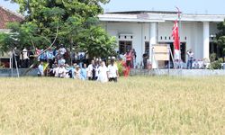 Amankan Masa Depan Pangan dan Energi, Pemkot Semarang Luncurkan Inovasi Berbasis Lahan Salin