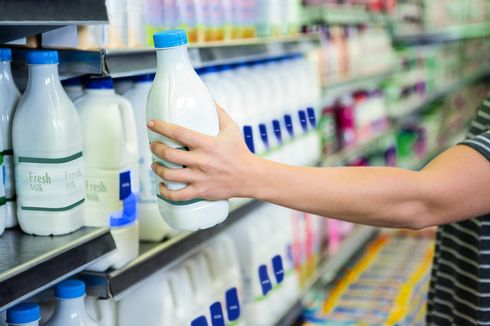 Nutrisi dan Manfaat Susu yang Menyehatkan Tubuh