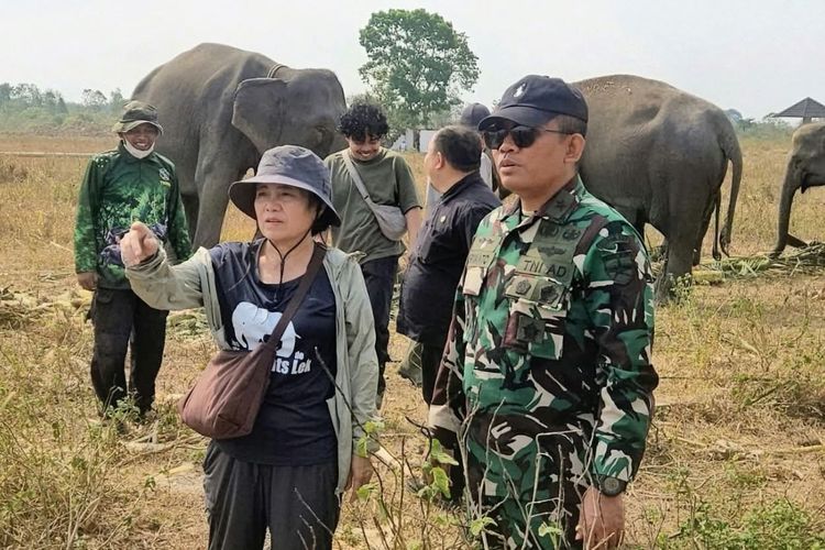 Gajah Way Kambas Dipersiapkan Hidup Tanpa Rantai, Tim Konservasi Thailand Turun Tangan