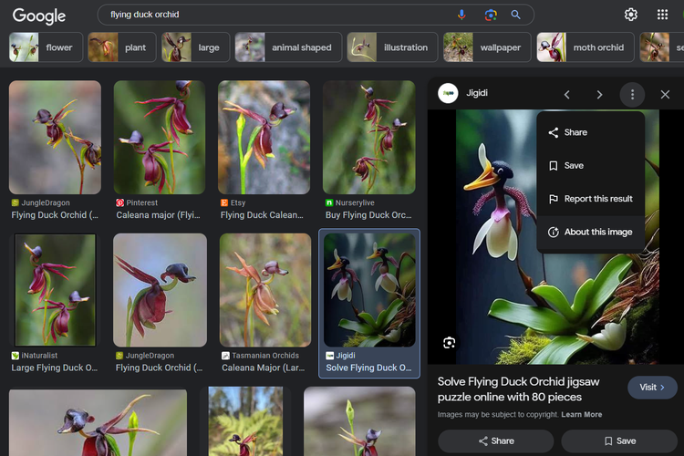 Tangkapan layar pencarian gambar di Google Images dan fitur About this image di bagian kanan atas gambar.