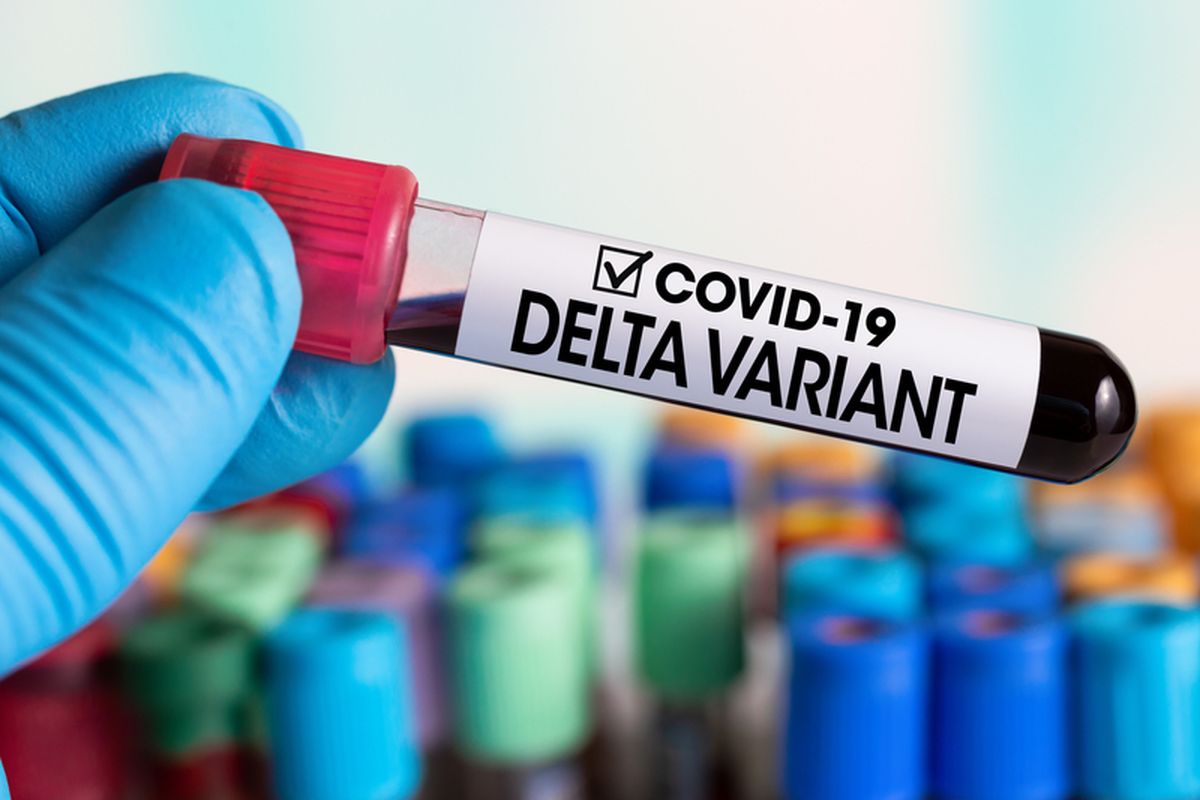 Ilustrasi covid varian delta. Kasus infeksi Covid-19 Subvarian Delta, varian virus corona keturunan varian Delta.
