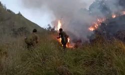 Kebakaran Lahan di Rinjani, 70 Hektare Lahan Rusak