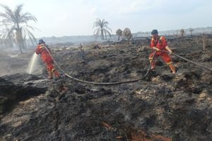 Karhutla Membara di Rokan Hilir Riau, Pemadaman dari Darat dan Udara