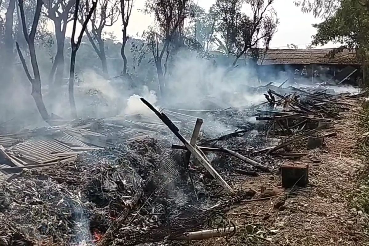 Kebakaran bekas kandang peternakan ayam di Desa Kramat, Kecamatan Socah, Bangkalan, Jawa Timur, Kamis (19/9/2024).