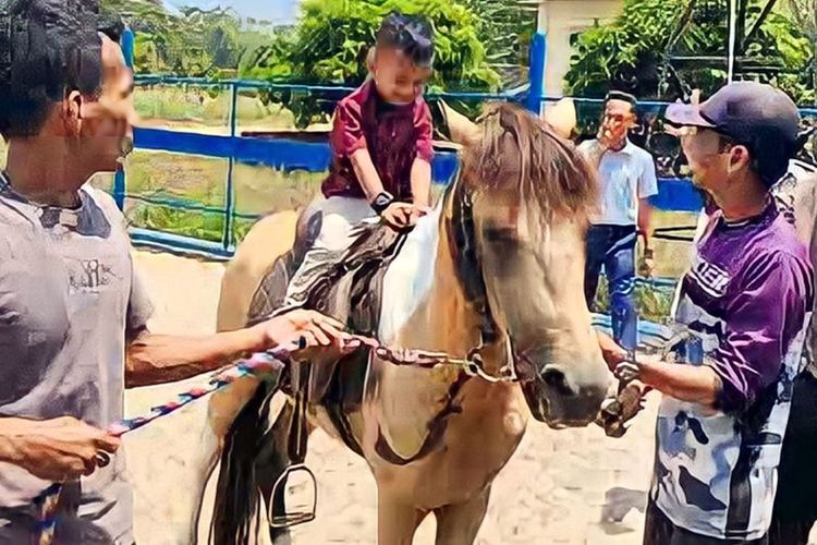Seorang anak mencoba menunggangi kuda di taman wisata edukasi di Kabupaten OKU Timur, Sumatera Selatan, Kamis (7/9/2023).