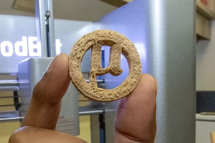 Gebrakan Ilmuwan AS, Membuat Kue Kering dari Plastik, Bagaimana Caranya?
