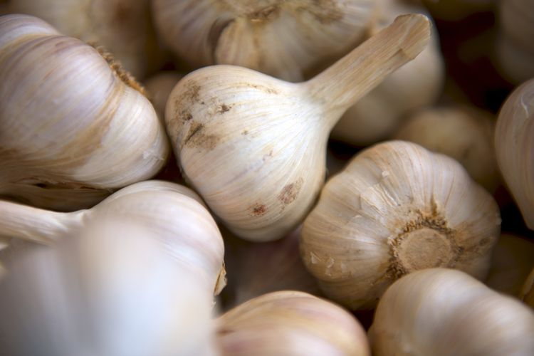 Porcelain garlic memiliki tekstur kulit yang seperti kertas.