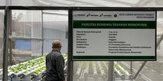 Lestarikan Lingkungan, Program Hutan Lestari Pertamina Tanam 1,2 Juta Mangrove  