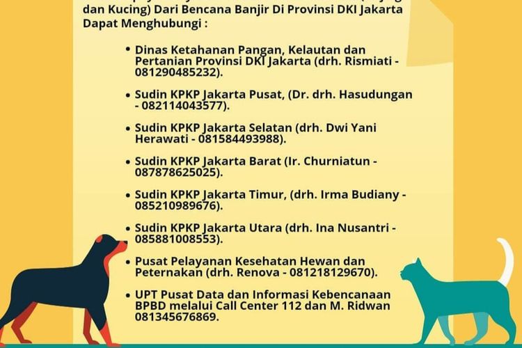 Pemprov DKI Jakarta sediakan pelayanan evakuasi dan shelter bagi hewan peliharaan yang terdampak banjir