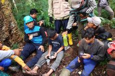 Kisah 2 Pencari Bunga Hilang di Hutan Gunung Gede Pangrango, Tidur di Sela-sela Tanaman Tepus, Ditemukan Lemas