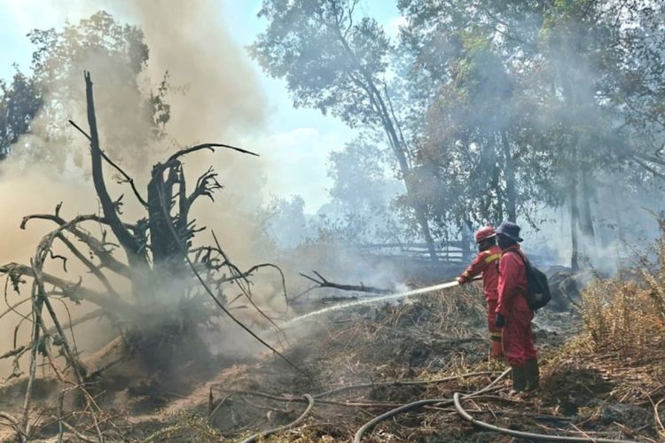 Karhutla Riau Meluas hingga 64 Hektare, 19 Waduk Disiapkan untuk Dukung Pemadaman