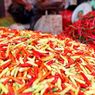 Harga Cabai Meroket, Petani di Desa Mojokerto Ramai-ramai Borong 50 Motor, Mobil, dan Bangun Rumah