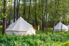 Okupansi Glamping di Bogor Naik Turun, Diisi Tamu dari Jakarta hingga Bandung